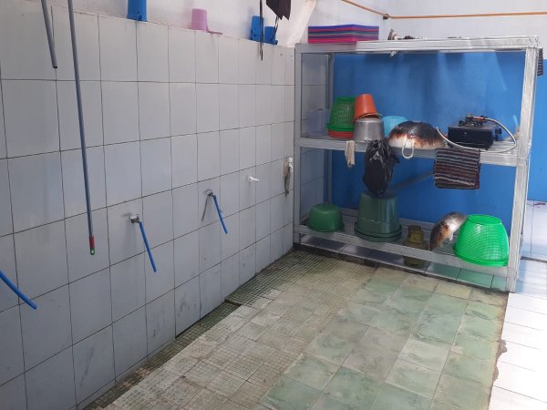 Tempat cuci alat alat